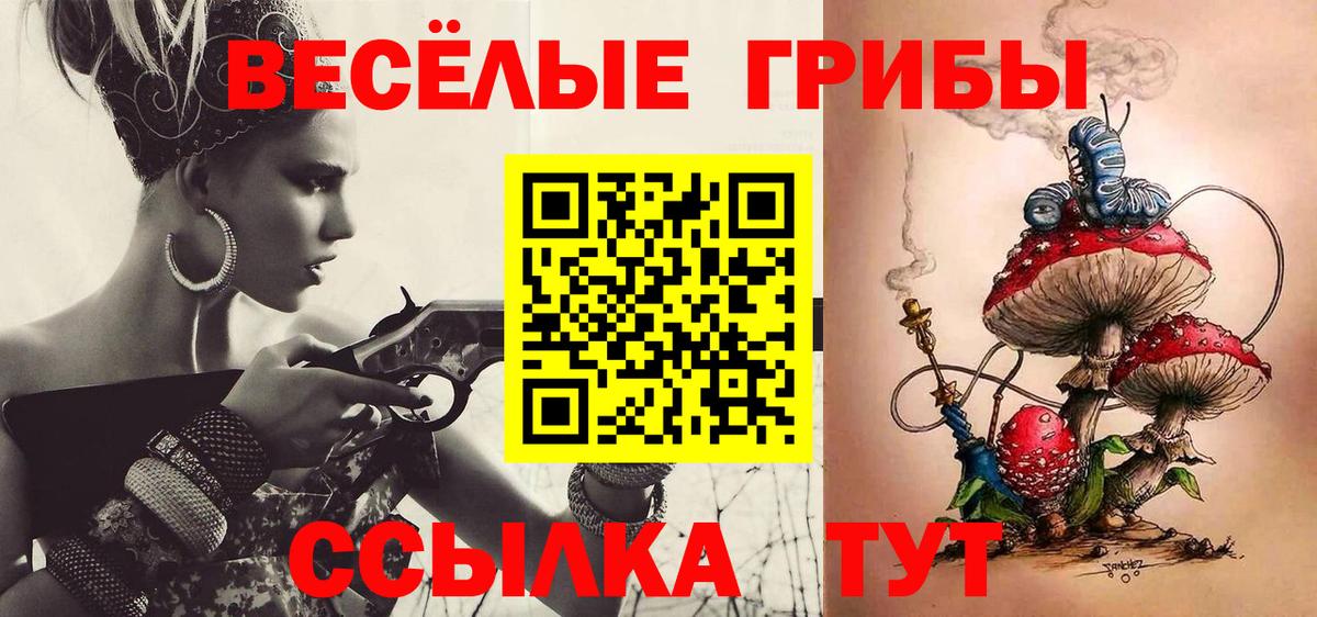 Псилоцибиновые грибы Cubensis  Вход с VPN  Псилоцибиновые грибы GOLDEN TEACHER  Чебоксары 