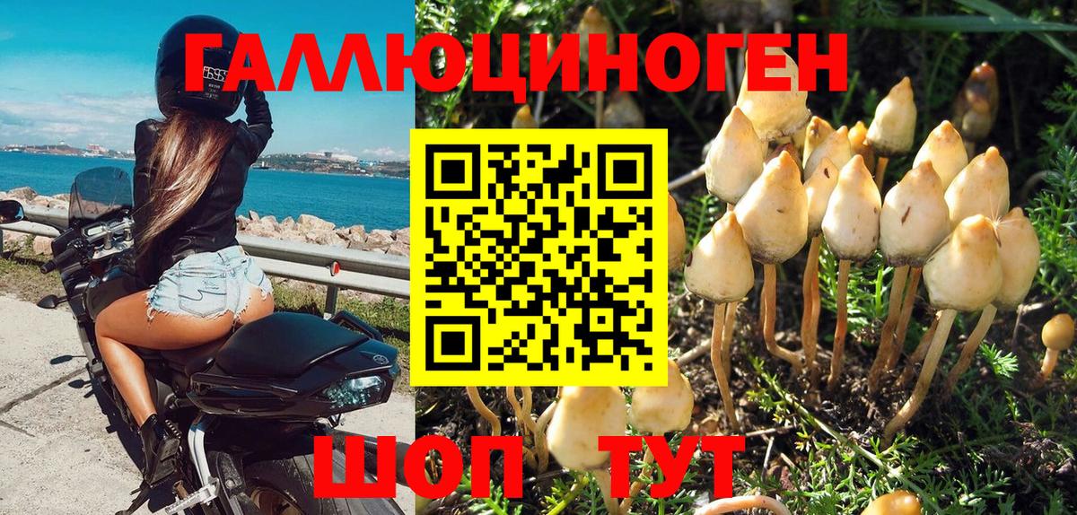 Псилоцибиновые грибы GOLDEN TEACHER Чебоксары